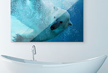 Bathroom example metal print with polar bear