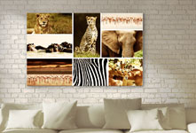 Wild animals_example photo collage in living space