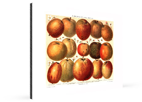 medical office wall art alu view