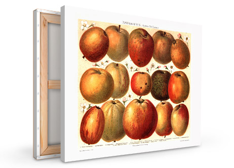 medical office wall art canvas view