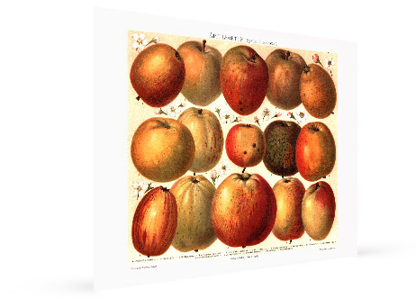 medical office wall art poster view