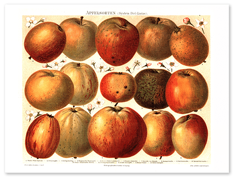 medical office wall art top