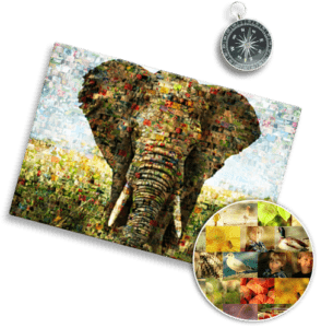 mosaic of photos